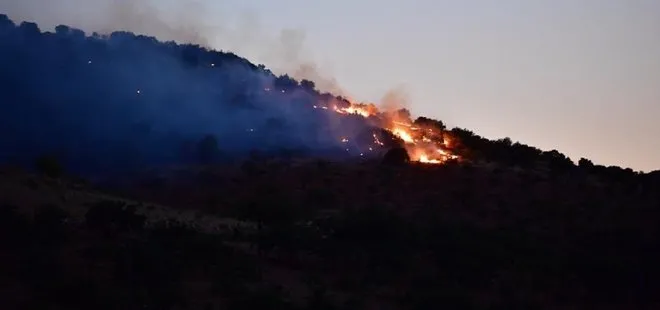 Son dakika: Orman Genel Müdürlüğü’nden yangınlar hakkında flaş açıklama