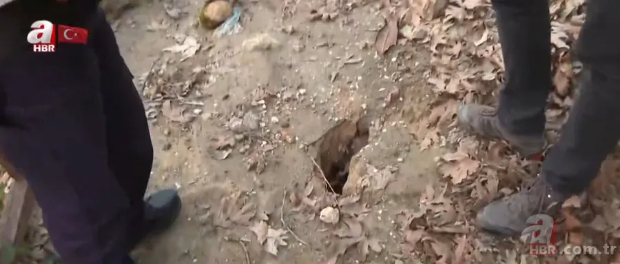 Bir DEPREM daha yaşanabilir mi? ANTAKYA FAYI tamamen KIRILDI mı? İzi sürülüyor! Prof. Dr. Hasan Sözbilir açıkladı 8