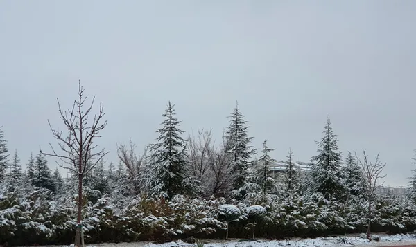 İstanbul'da kar yağışı! Meteoroloji uyarmıştı | Hangi illere kar yağacak? İşte 5 günlük hava durumu - 13