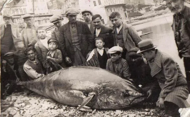 İstanbul Boğazı’nın balıkla dolu olduğu yıllarından fotoğraflar