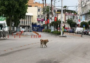 Şanlıurfa’da 60 adreste karantina uygulaması başlatıldı