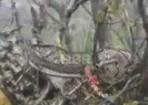 Tahranda son görev hazırlığı!