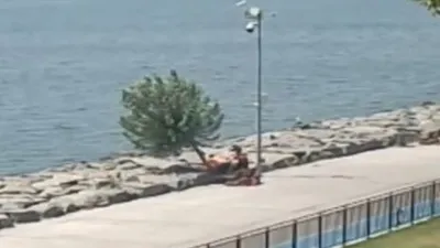 İBB’den Florya sahilinde ağaç kıyımı