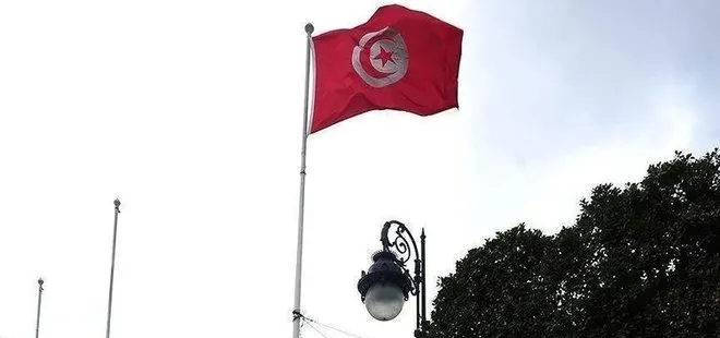 Tunus’ta iki hafif uçak düştü: 2 ölü 2 yaralı