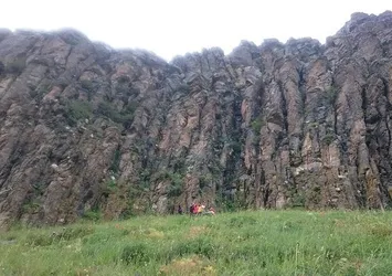 Kars'ta ayı katliam yaptı!