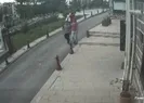 Şok sözler: Gözümüze 3 kızı kestirdik...