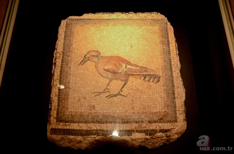 'Çingene Kızı' mozaiği Türkiye'ye getirildi 10