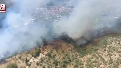 Aydın Germencik’te orman yangını