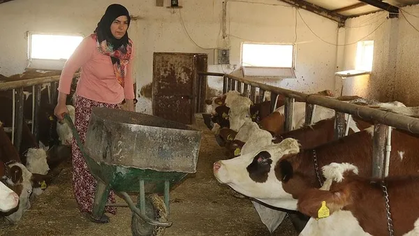 Tarım ve Ormancılık Bakanı Vahit Kirişci’den Sözleşmeli Besicilik Projesi açıklaması! Anlaşma yapanlar için detaylar paylaşıldı