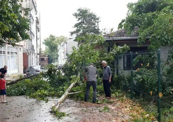 Bursa'yı sağanak ve fırtına vurdu! Ağaçlar devrildi cadde ve sokaklar suyla doldu
