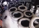 O cani yakalandı! Yavru köpeği...