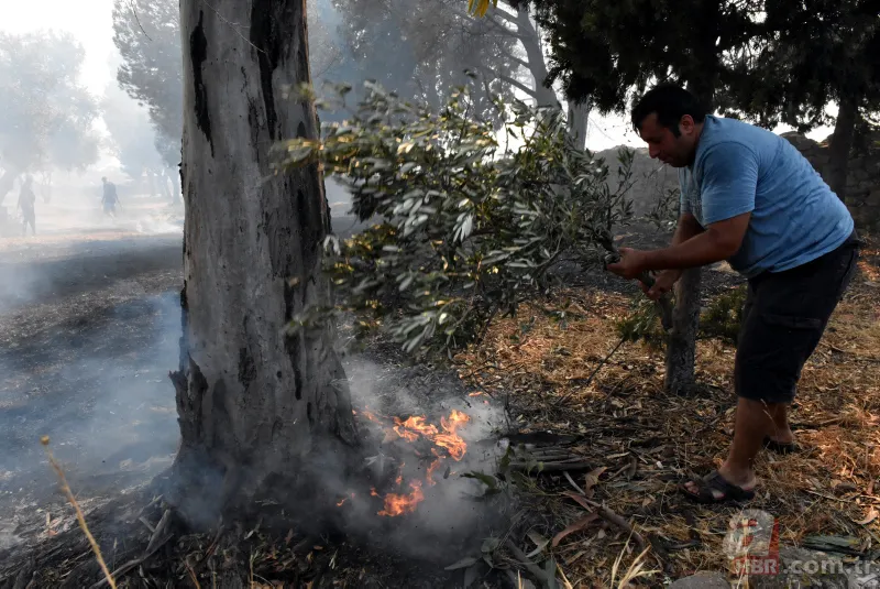 Muğla'dan art arda yangın haberleri! Köylüler evlerini terk ediyor 14