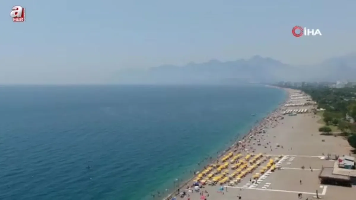 Uzman isim Caretta caretta ısırma vakalarının sebebini açıkladı