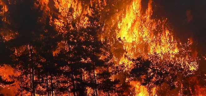 Manavgat’taki orman yangılarıyla ilgili soruşturma başlatıldı