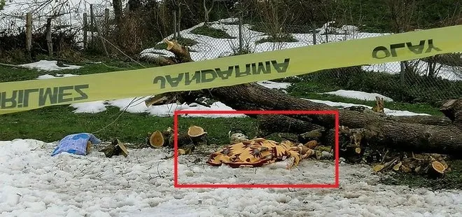 Zonguldak’ta kestiği ağaç üzerine devrilen kişi hayatını kaybetti