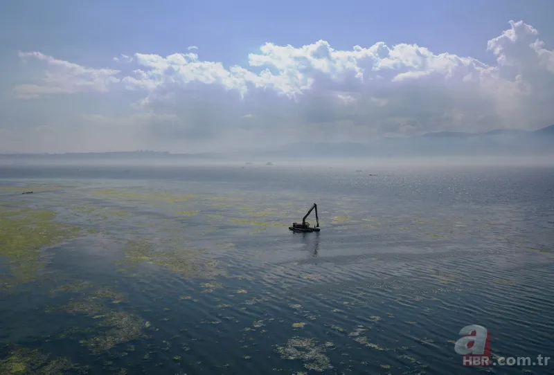 CHP'li Tunç Soyer'in "Yüzülebilir hale gelecek" dediği İzmir Körfezi çevre felaketi uyarısı veriyor 9