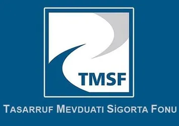 TMSF iki şirketi satışa çıkardı