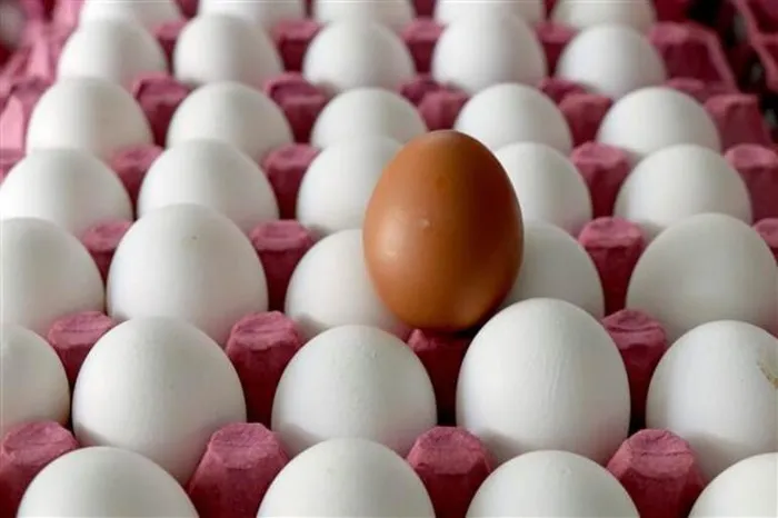 Pandemide yumurtaya talep yüzde 100 arttı