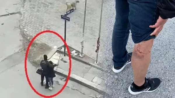 Ankara'da yürekleri ağza getiren olay: 7 köpeğin arasında kaldı! Lise öğrencisini güvenlik görevlisi son anda kurtardı - 1