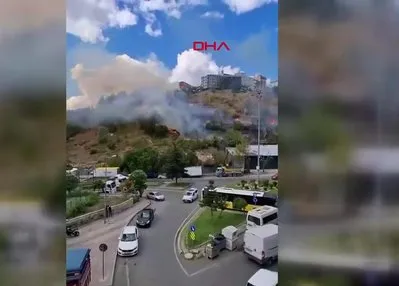 Kağıthane’de ağaçlık alanda yangın