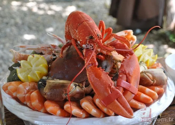Coronavirüse karşı en önemli silah olan çinko hangi yiyeceklerde var? Çinko açısından zengin besinler nelerdir? 14