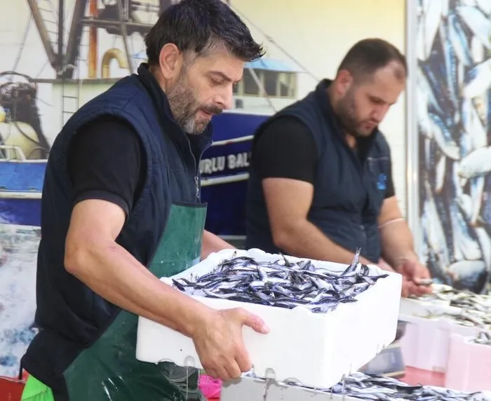 İstavritin kilosu 5 liraya düştü! Vatandaş kasayla almaya başladı