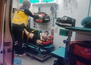 Çay bahçesine dehşet anları! Tonlarca ağırlığındaki çam ağacı ailenin üzerine devrildi