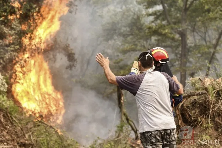 Yunanistan’da yangın yeniden alevlendi! Birçok bölgede tahliye emri verildi