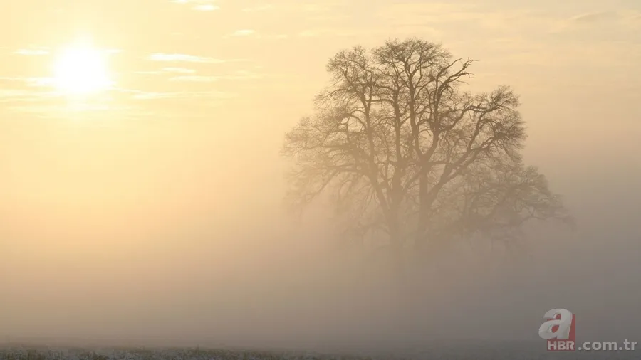 İstanbul'a bahar o bölgelere Suriye tozu! Sıcaklıklar mevsimin 8 derece üstünde | 5 Mart Meteoroloji hava durumu 9