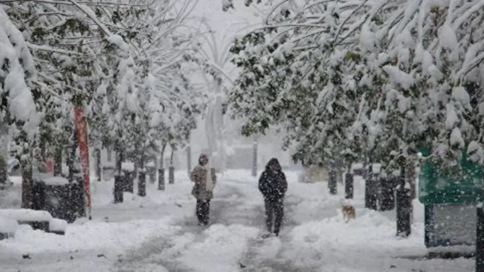 Türkiye beyaza büründü