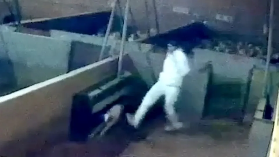 Yürek yakan görüntüler ülkeyi karıştırdı! Mezbahada kuzulara işkence kamerada