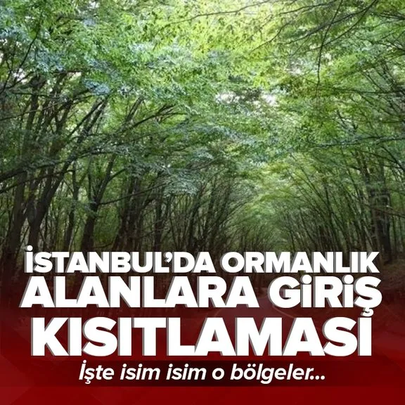 Son dakika | İstanbul Valiliği duyurdu! Ormanlık alanlara giriş kısıtlandı