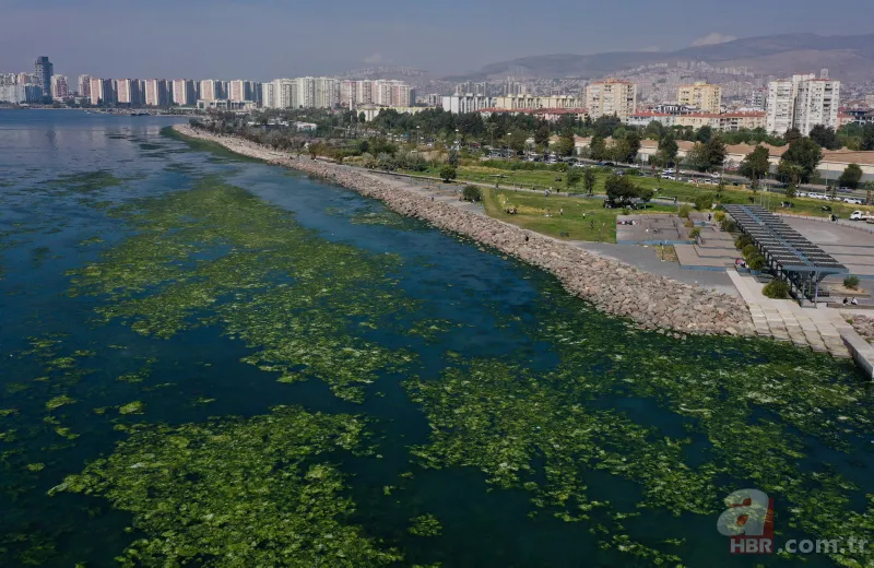 CHP'li Tunç Soyer'in "Yüzülebilir hale gelecek" dediği İzmir Körfezi çevre felaketi uyarısı veriyor 23