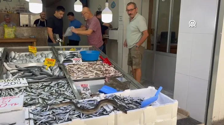 Hamsilerin içinden çıktı hemen satıldı! Nadir görülüyor
