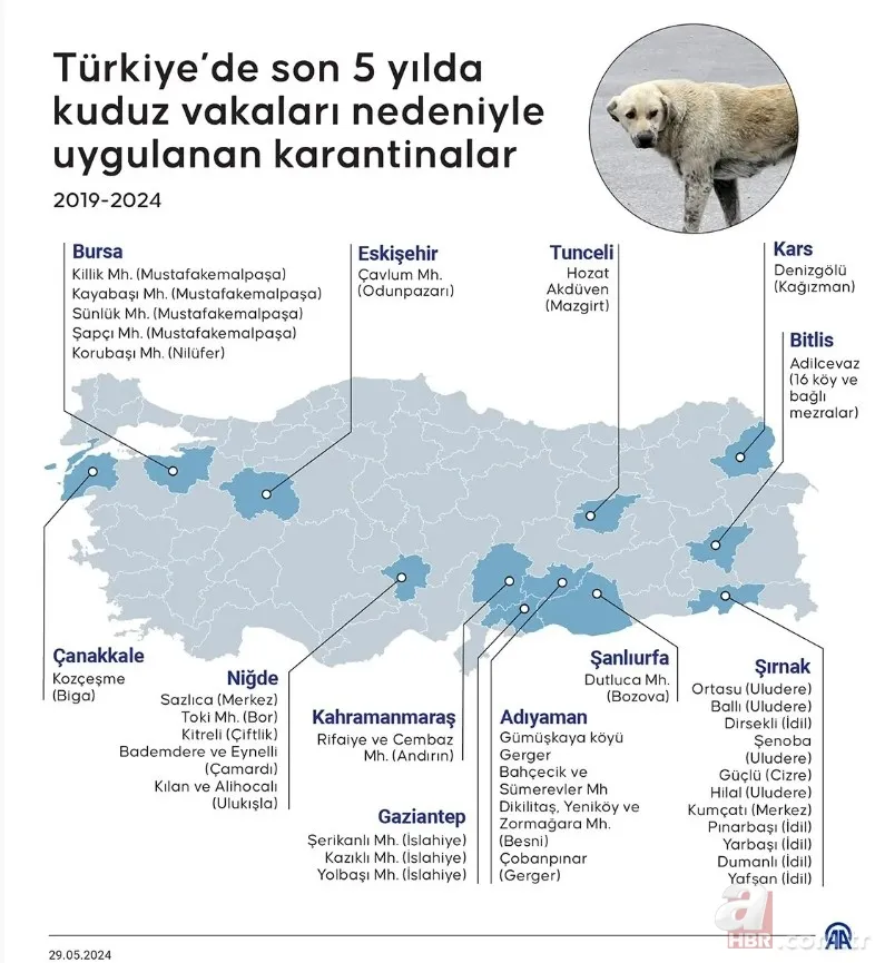 Hayvan istismarcılarının örtmek istediği gerçek! İşte 2019-2024 yılları arasında gerçekleşen sokak köpeği saldırıları 5