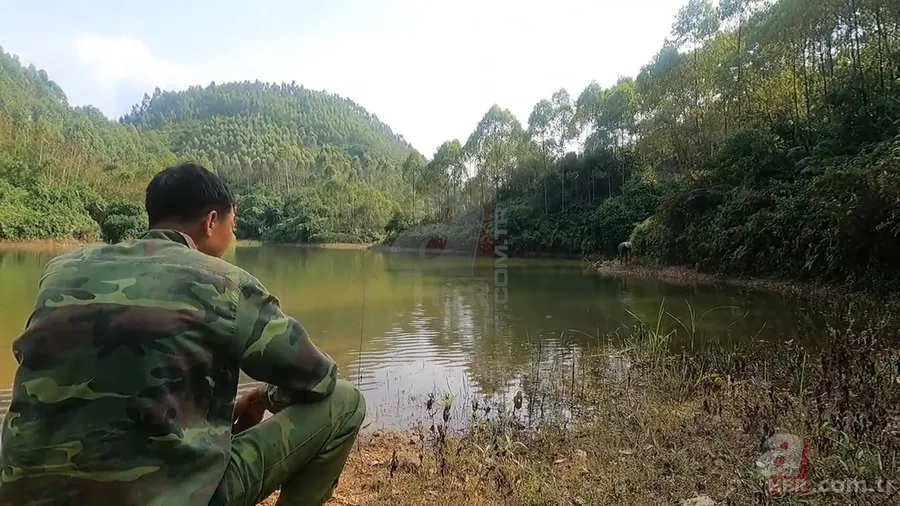 Dev anakonda yılanı nehirde yüzen gençlere saldırdı! Korku dolu anlar görüntülendi 1