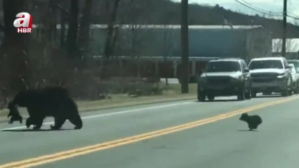 Anne ayının zor anları