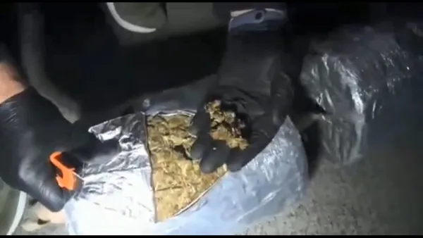 ambarli-limaninda-1-ton-580-kilo-marihuana-ele-gecirildi-meksikadan-istanbula-getirmisler-1665474439126.jpg Ambarlı Limanı'nda 1 ton 580 kilo marihuana ele geçirildi! Meksika'dan İstanbul'a getirmişler - 3