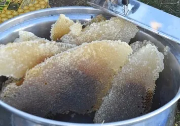 Bitlis'in ödüllü balının hasadına başlandı