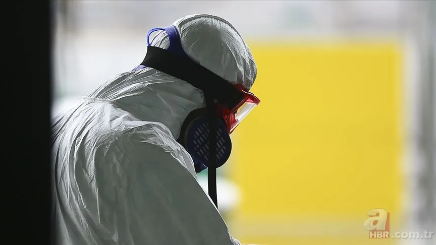 Yeni virüs mü çıktı? Hanta virüsü bulaşıcı mı? Hanta virüsü belirtileri nelerdir? Hantavirüs salgını var mı? 11