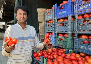 Yerli domates çıktı