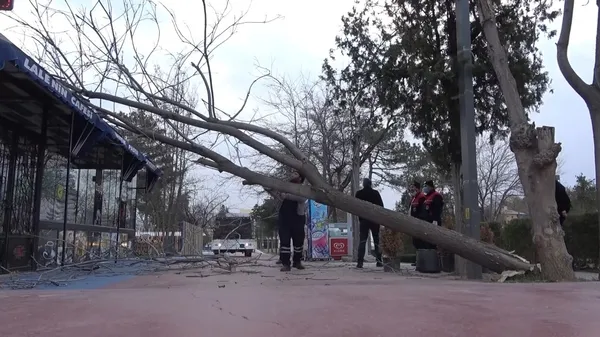 meteorolojiden-son-dakika-uyarisi-kuvvetli-ruzgar-geliyor-5-gunluk-hava-durumu-1612898059081.jpg Meteoroloji'den son dakika uyarısı! Kuvvetli rüzgar geliyor! 5 günlük hava durumu - 4