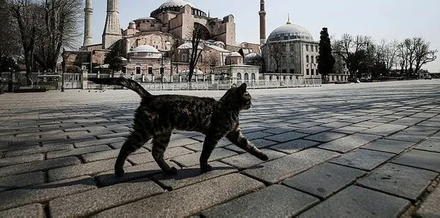 Son dakika: 10:00 - 20:00 saatleri dışında ne demek? Sokağa çıkma yasağı hangi saatler arasında olacak?