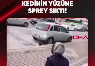 KEDİNİN YÜZÜNE SPREY SIKTI!
