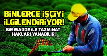 Son dakika sezonluk mevsimlik işçiler tazminat alabilir mi? Kıdem tazminatı hesaplama nasıl yapılır?