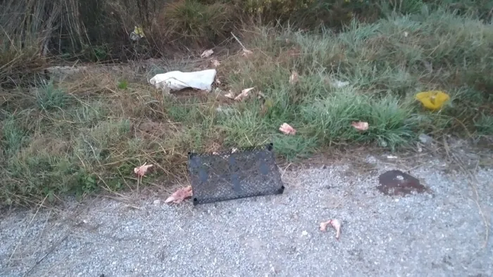 İzmir'de vicdansızlık! Zehirlenen 31 sokak hayvanı öldü - 2