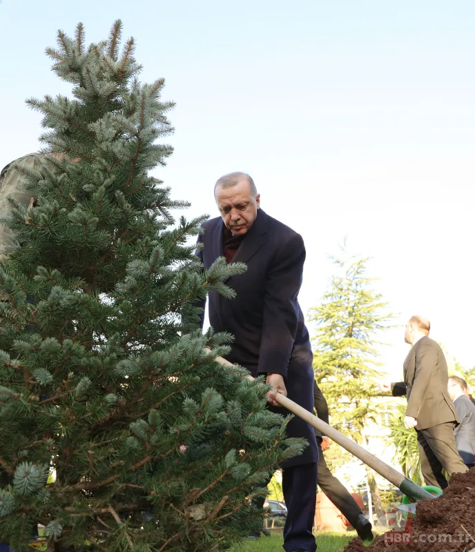 Başkan Erdoğan İstanbul İkmal Maliye Okulu ve Eğitim Merkezi Komutanlığı'na fidan dikti 1