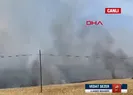 Çanakkale’de ormanlık alanda yangın