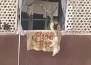 Sosyal medyada infial uyandırdı! Köpeğe işkence kamerada