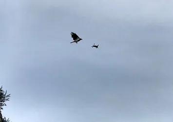 Kargadan drone saldırısı